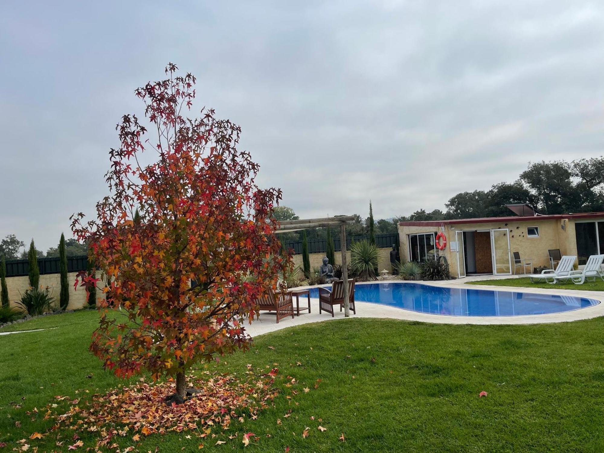A Casa Do Camarate (Setubal)